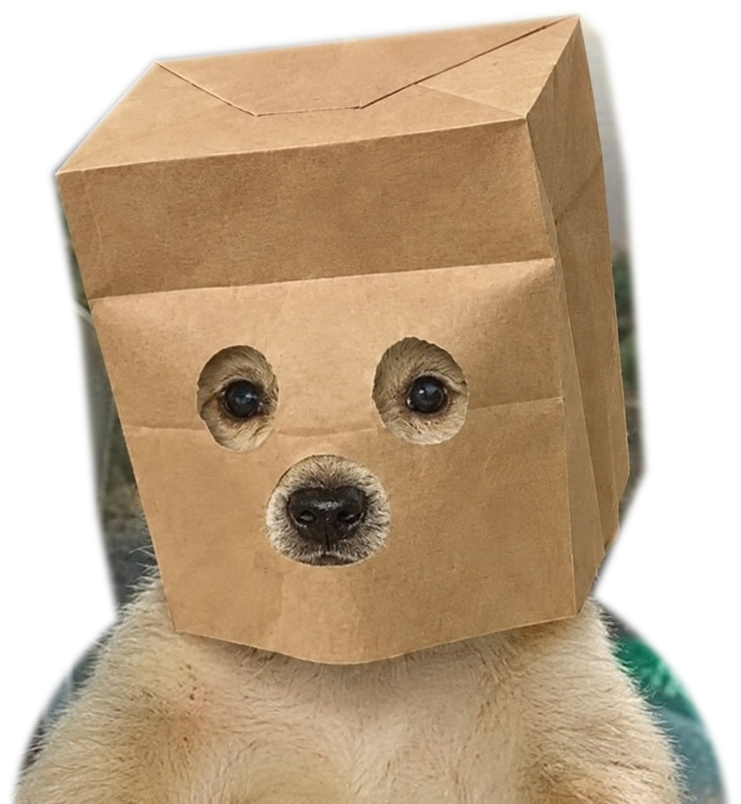 Anonymous Jotchua wearing a paper bag mask